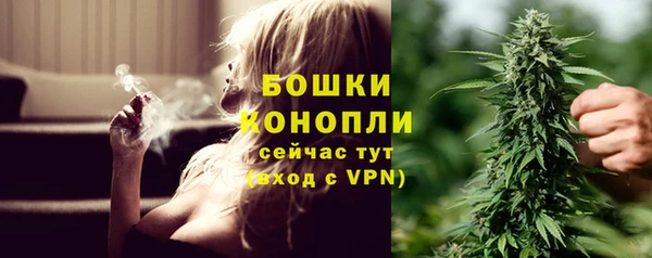 молекула духа Володарск