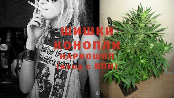 молекула духа Володарск