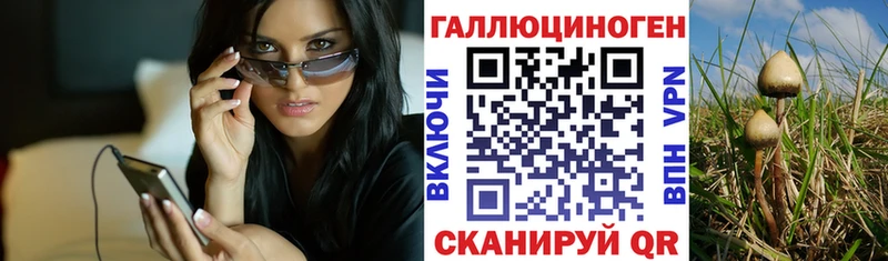 закладка  hydra как зайти  Галлюциногенные грибы мицелий  Кызыл 