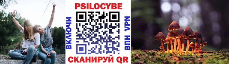 Псилоцибиновые грибы Magic Shrooms Кызыл